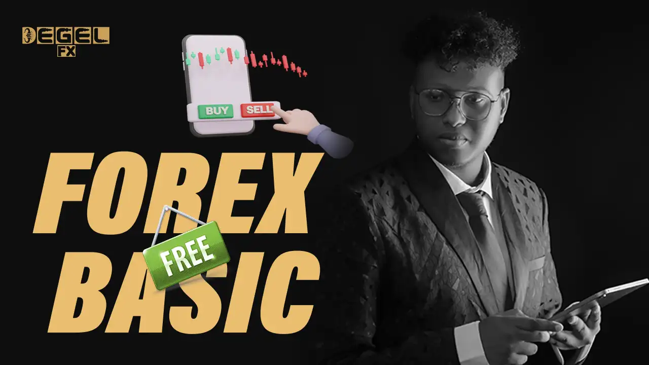 FOREX BASICS UNDERSTANDING THE MARKET FULL SOMALI COURSES