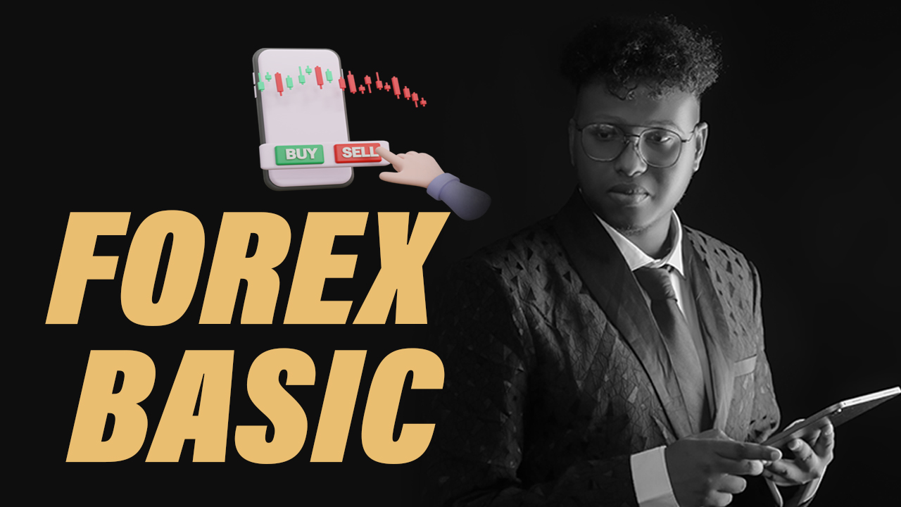FOREX BASICS UNDERSTANDING THE MARKET FULL SOMALI COURSES